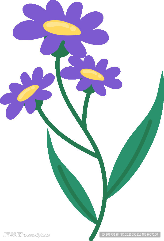 紫色雛菊插畫