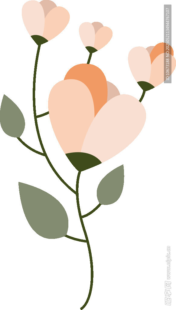 粉色花朵插畫