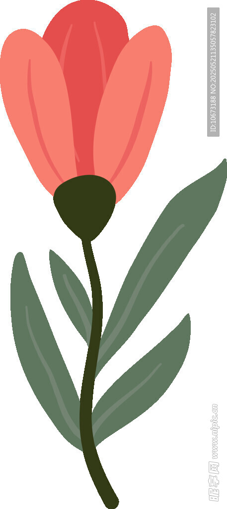 粉色花朵插畫