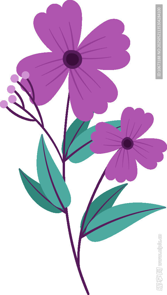 紫色花朵插畫