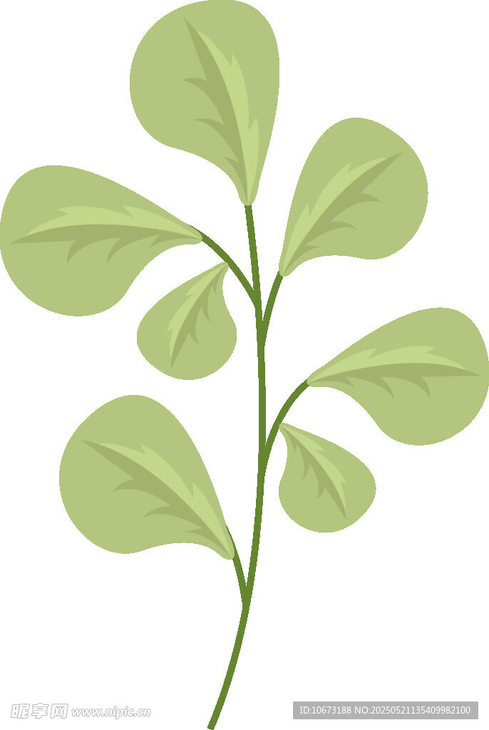 嫩綠葉片植物插畫