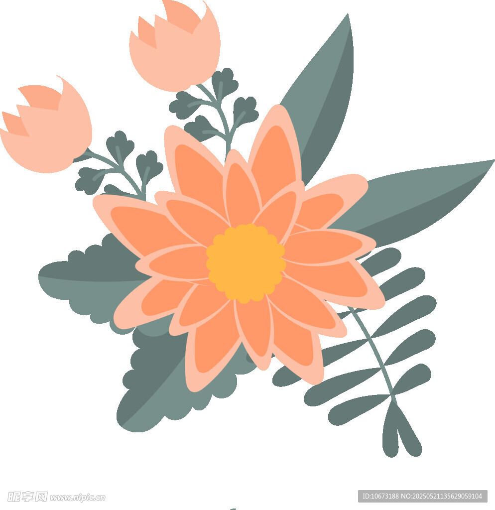 橙色花卉插畫