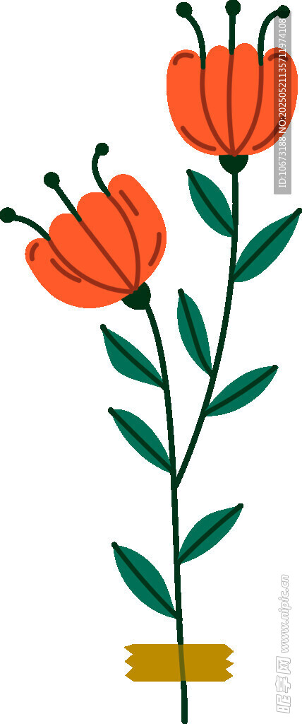 橙色花朵插畫植物