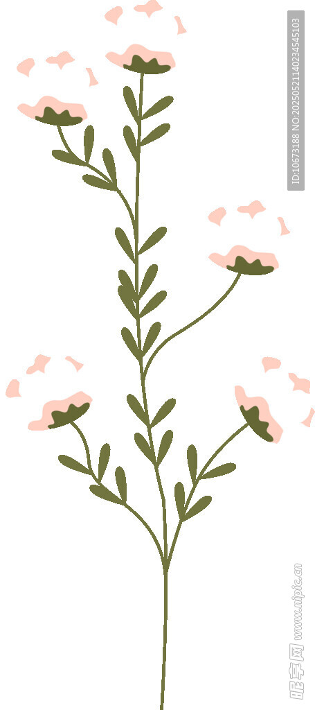 清新白色小花植物插畫