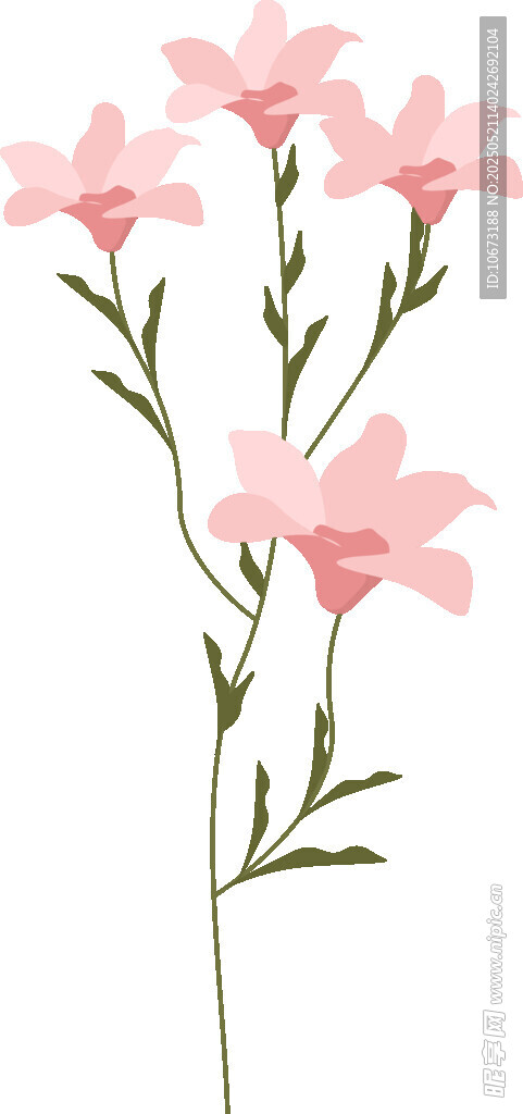粉色小花枝插畫