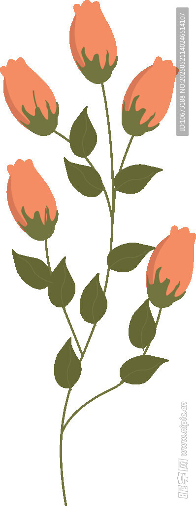 橙色玫瑰插畫