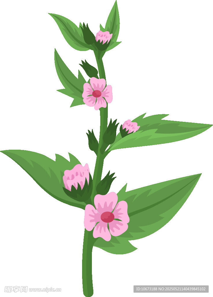 粉色小花綠葉植物插畫