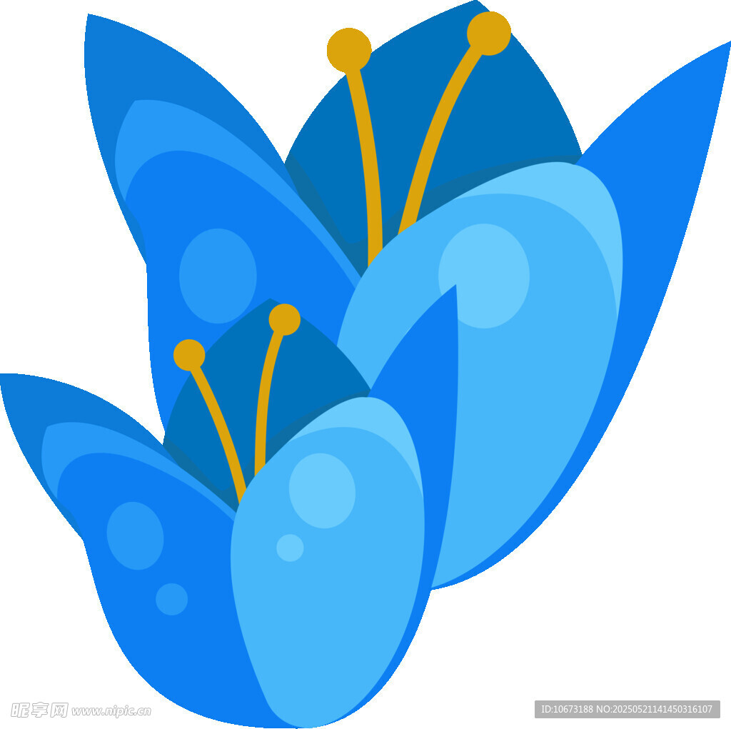 藍色花朵插畫