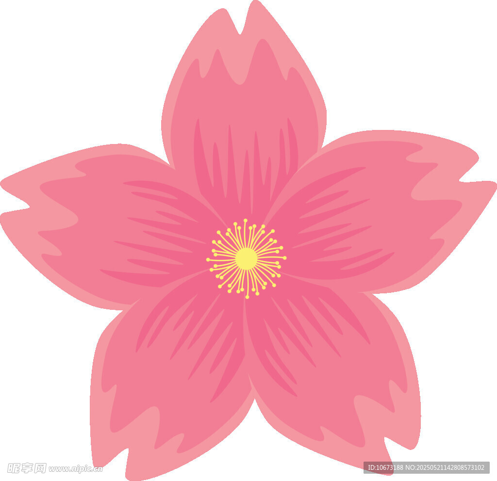 粉色櫻花花朵插畫(huà)