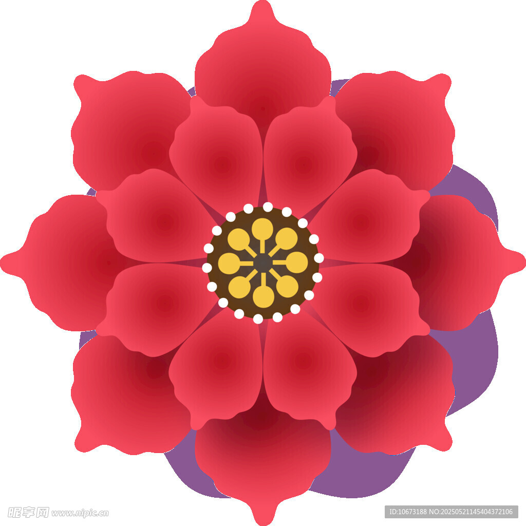 紅色花朵圖案設計