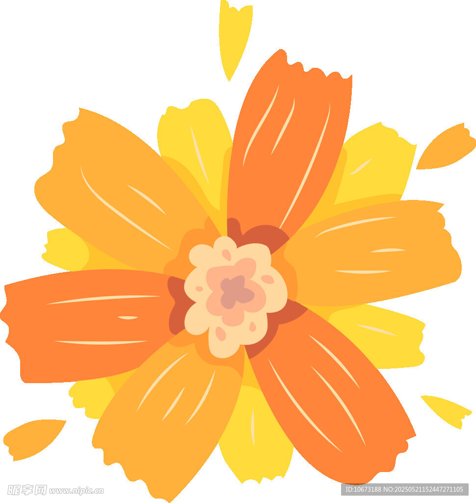 橙色花朵插畫