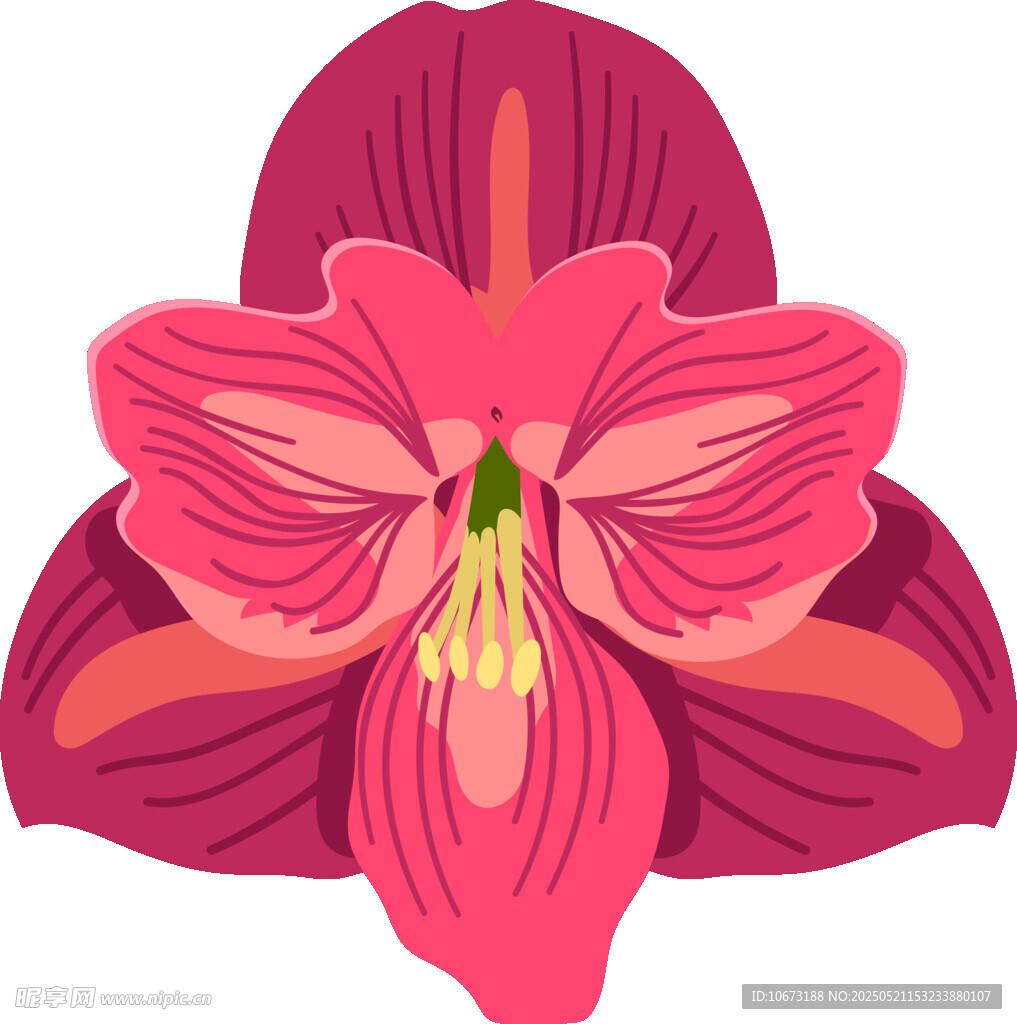 艷麗粉色花朵插畫