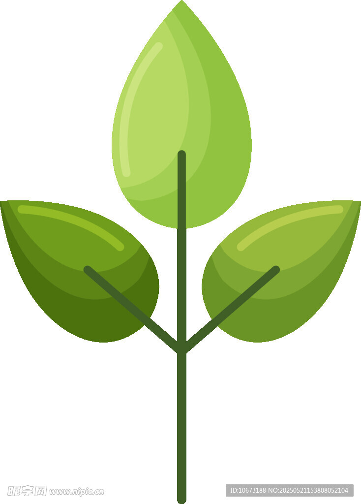 嫩綠三葉植物插畫