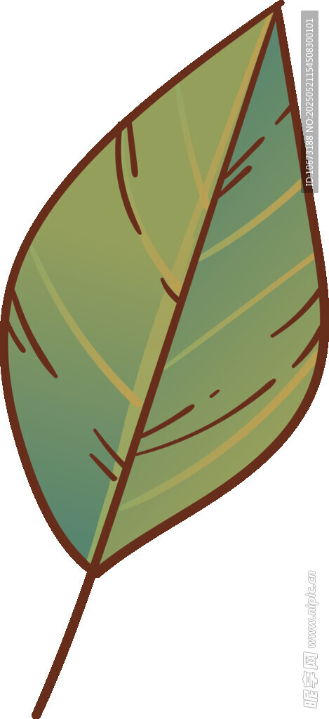 手繪綠色單葉片插畫