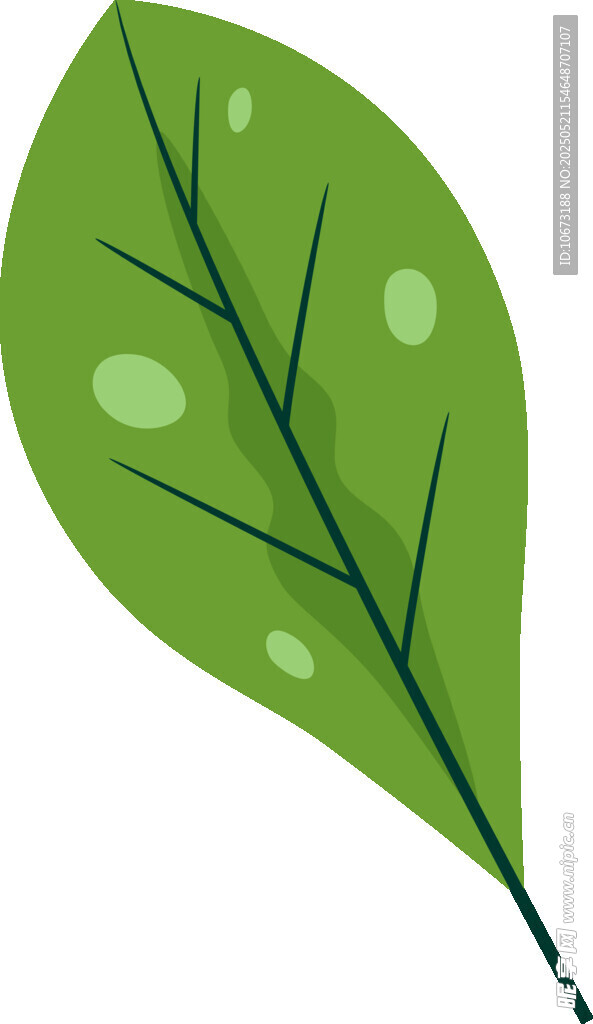綠色單葉插畫