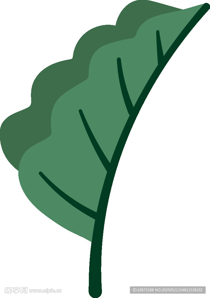綠色葉片插畫(huà)