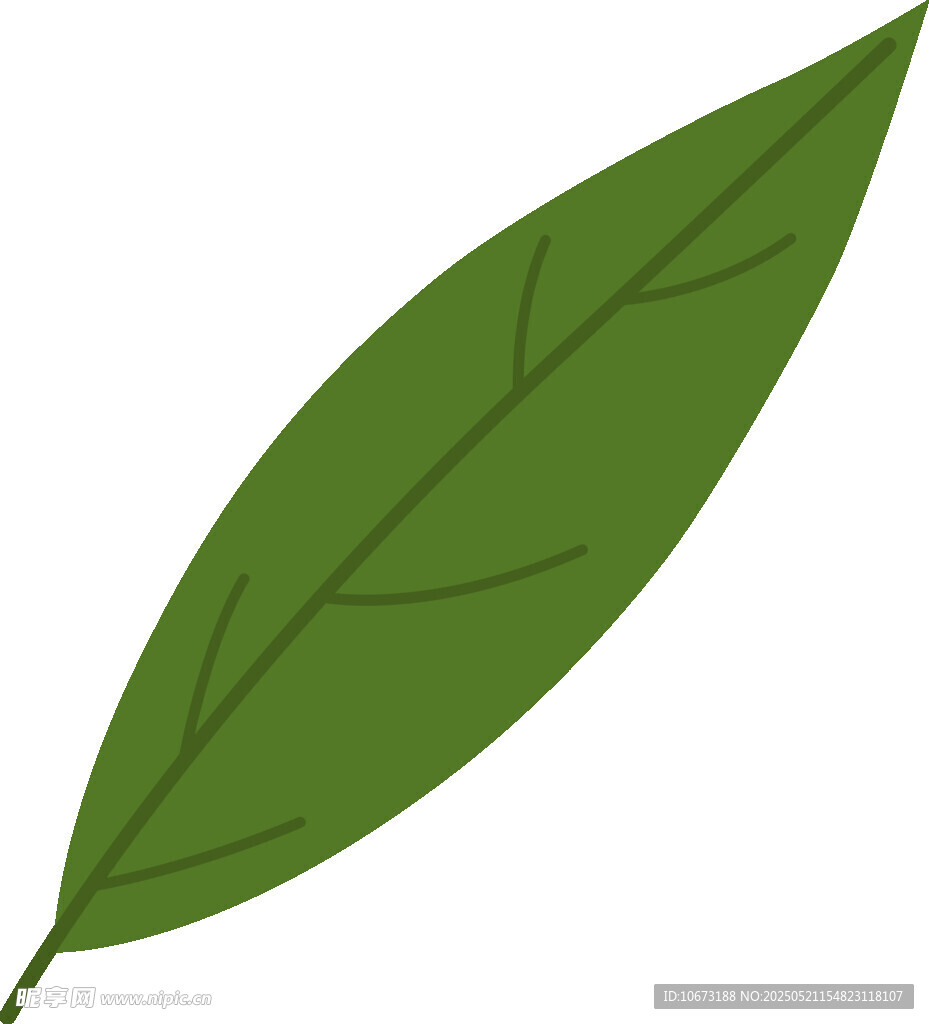 綠色單葉片插畫