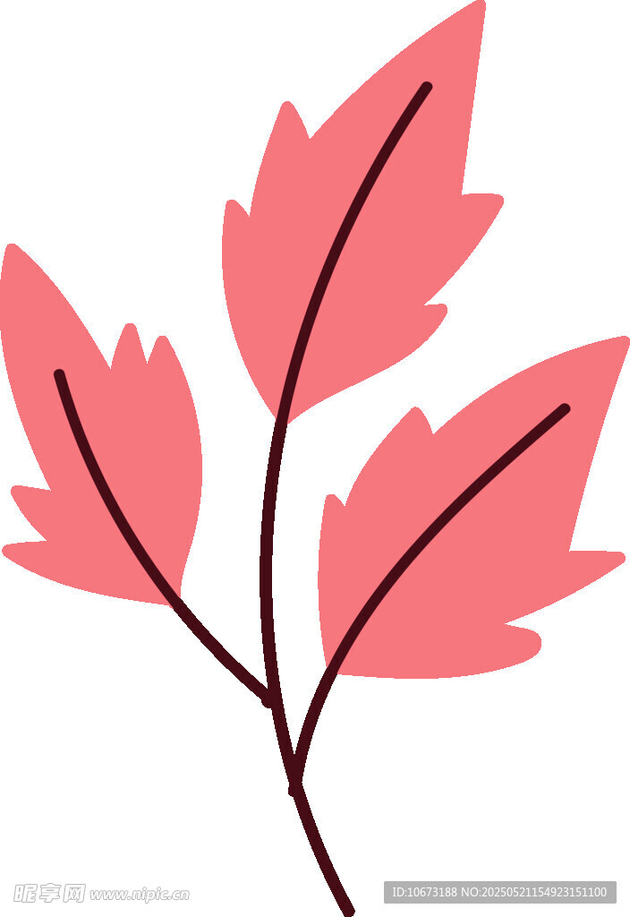 粉色楓葉插畫