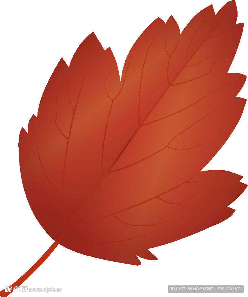 紅色楓葉插畫