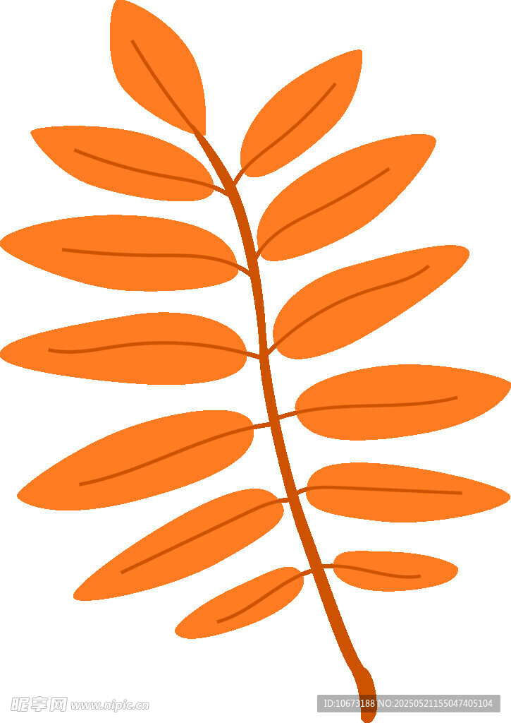 橙色葉片植物插畫