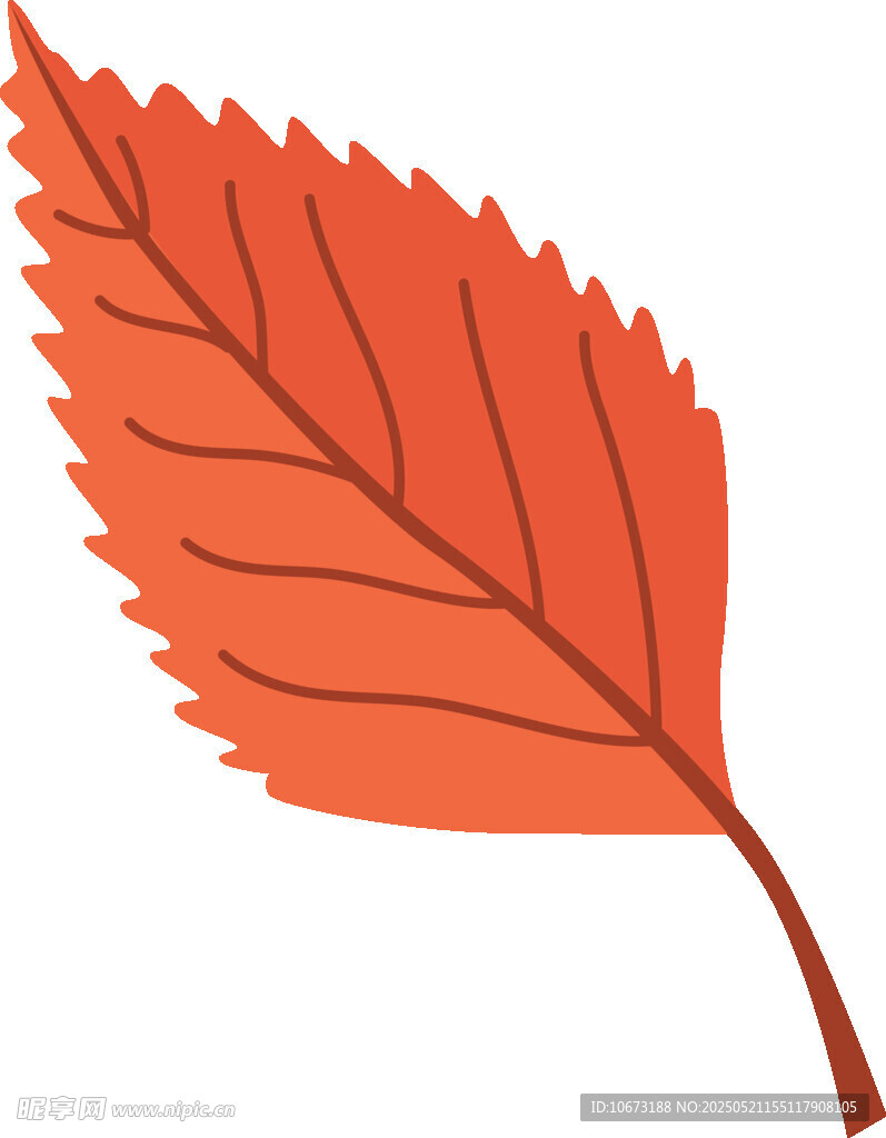 橙紅色單葉插畫