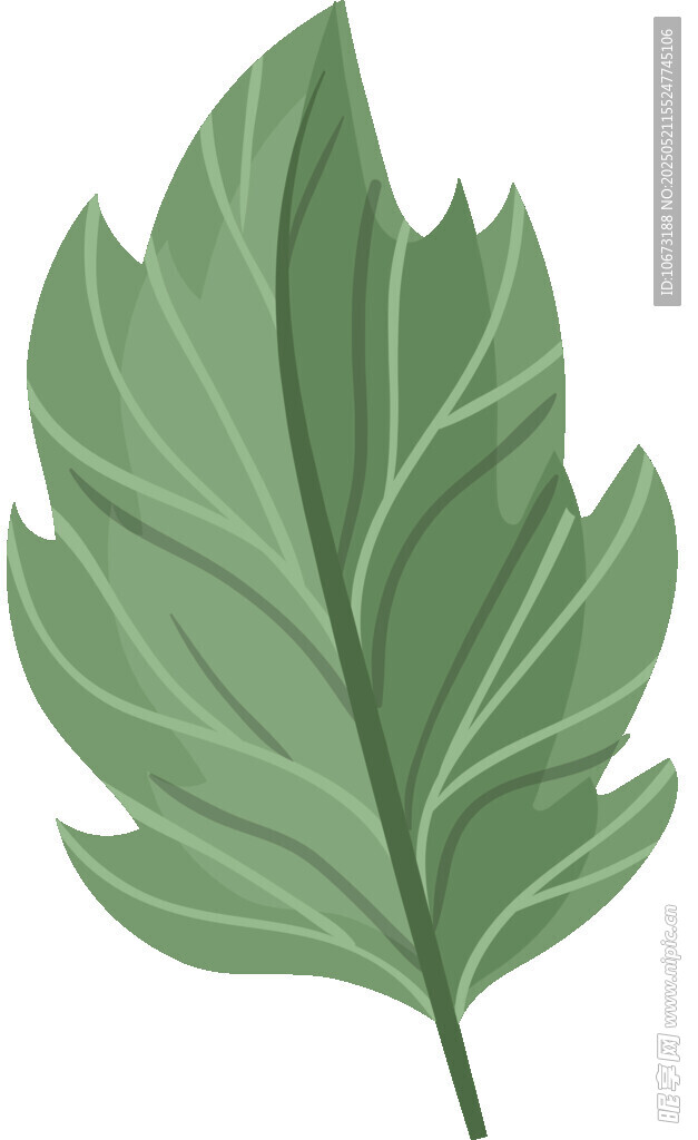 綠色單葉片插畫