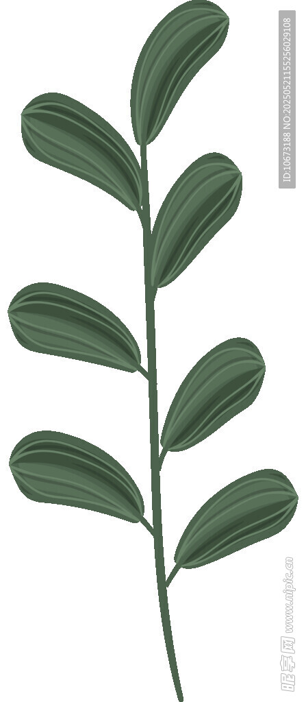 綠色單枝葉片植物插畫(huà)