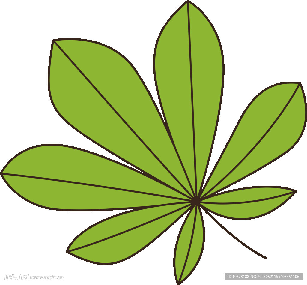 掌狀復葉插畫