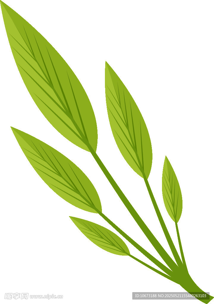 嫩綠枝葉插畫(huà)