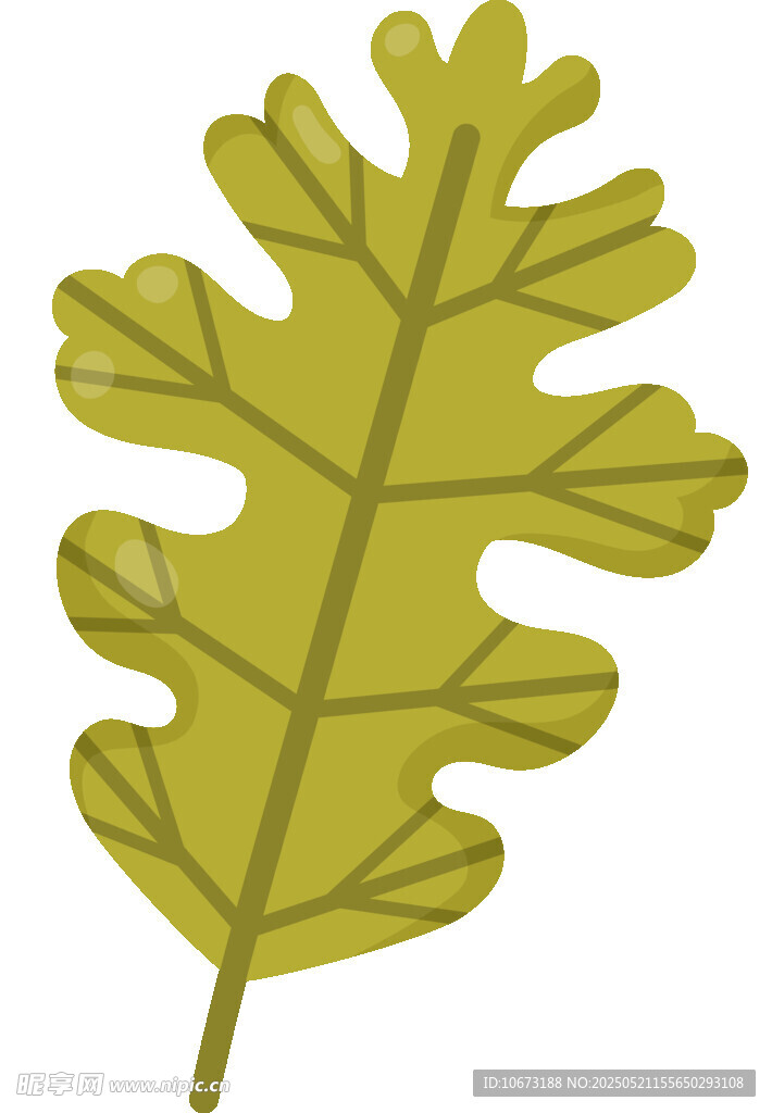 綠色橡樹葉插畫