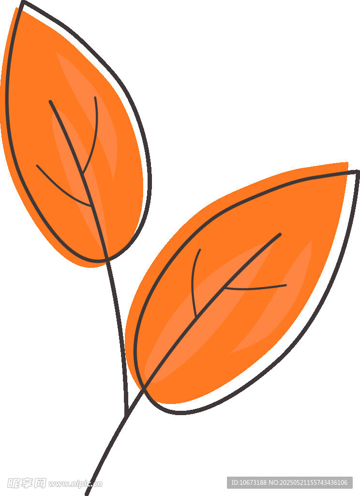 橙色雙葉插畫