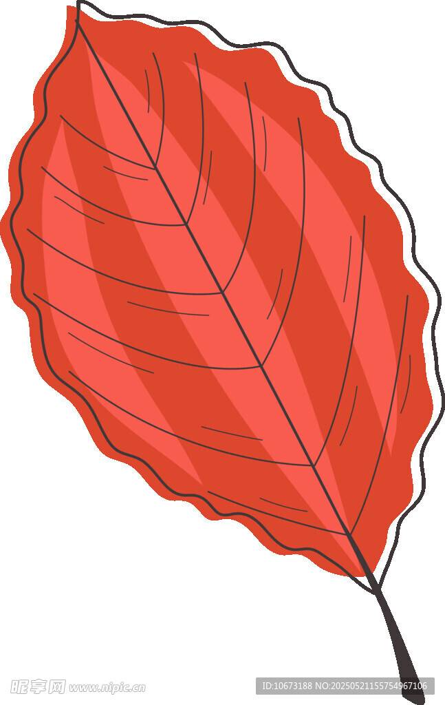 紅色單葉插畫