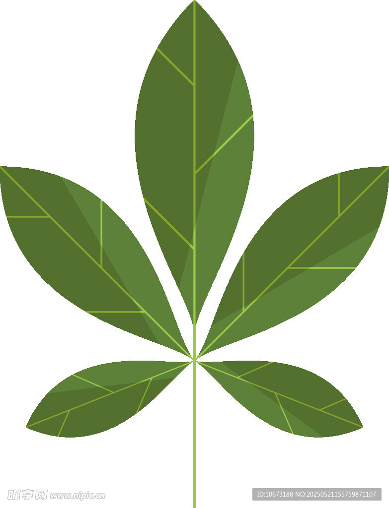 五片綠葉植物圖案