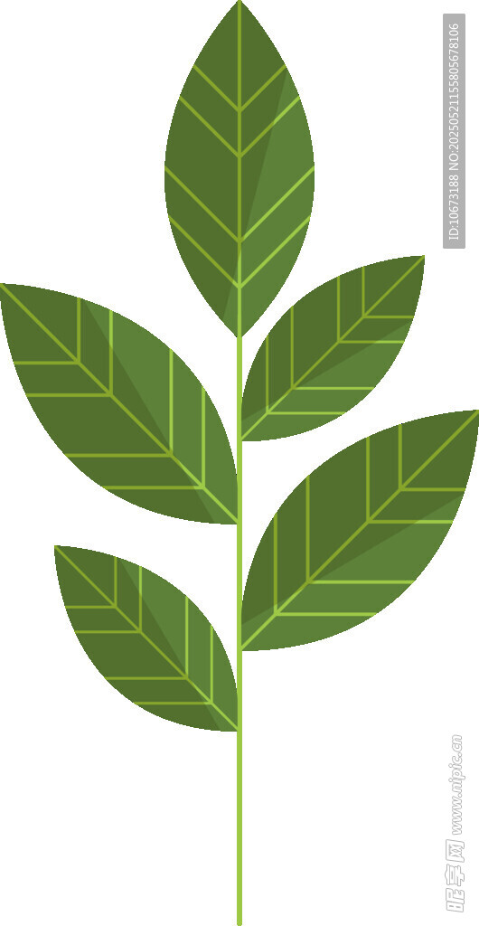 綠色葉片植物插畫