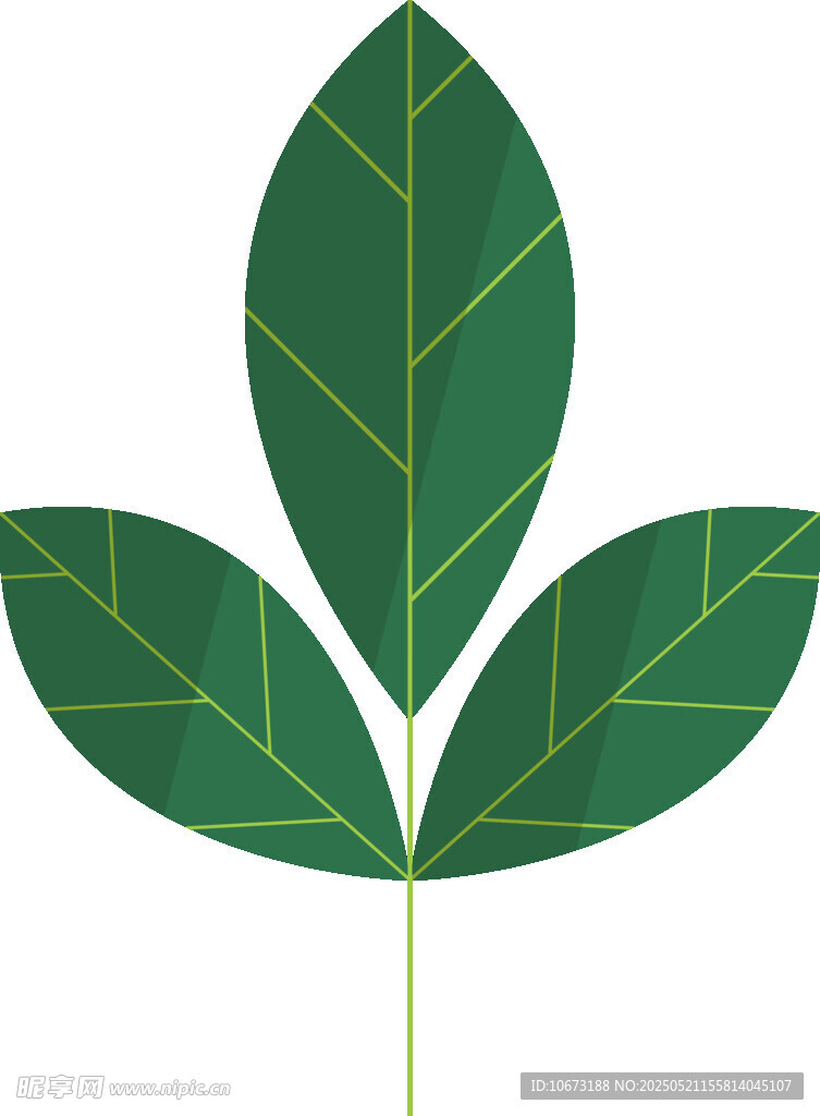 三片綠葉插畫