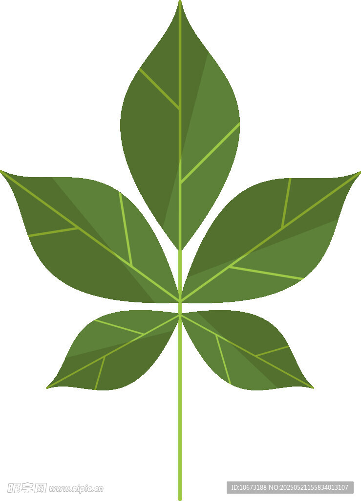 五片綠葉植物圖案