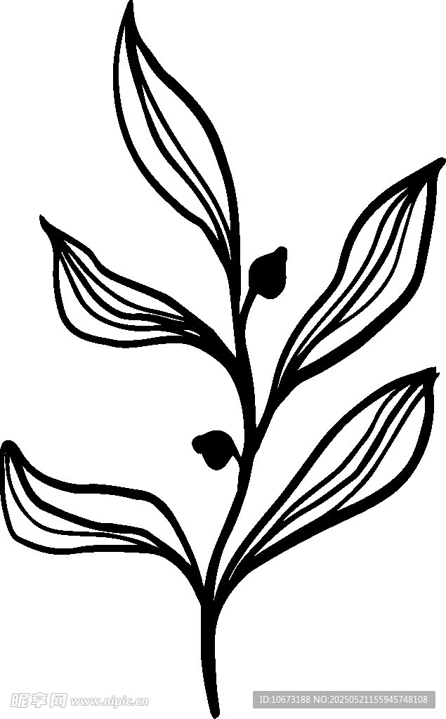 簡約線條植物枝葉圖案