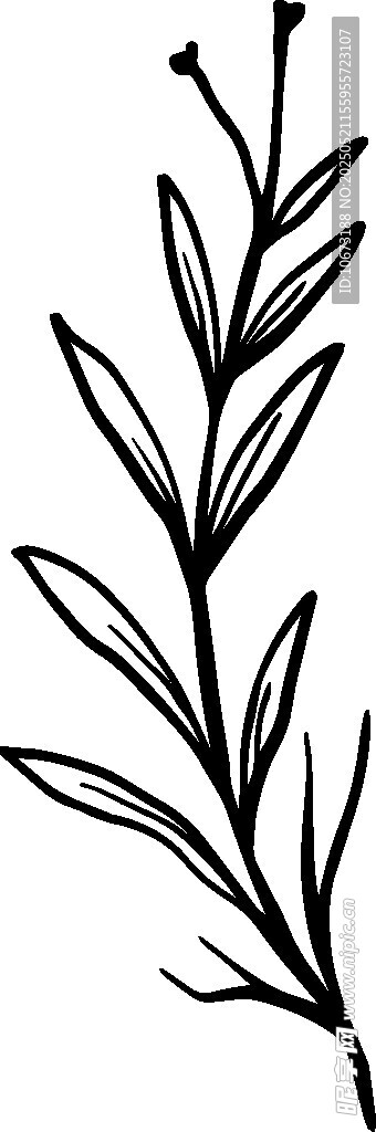 簡約線條植物枝葉圖案