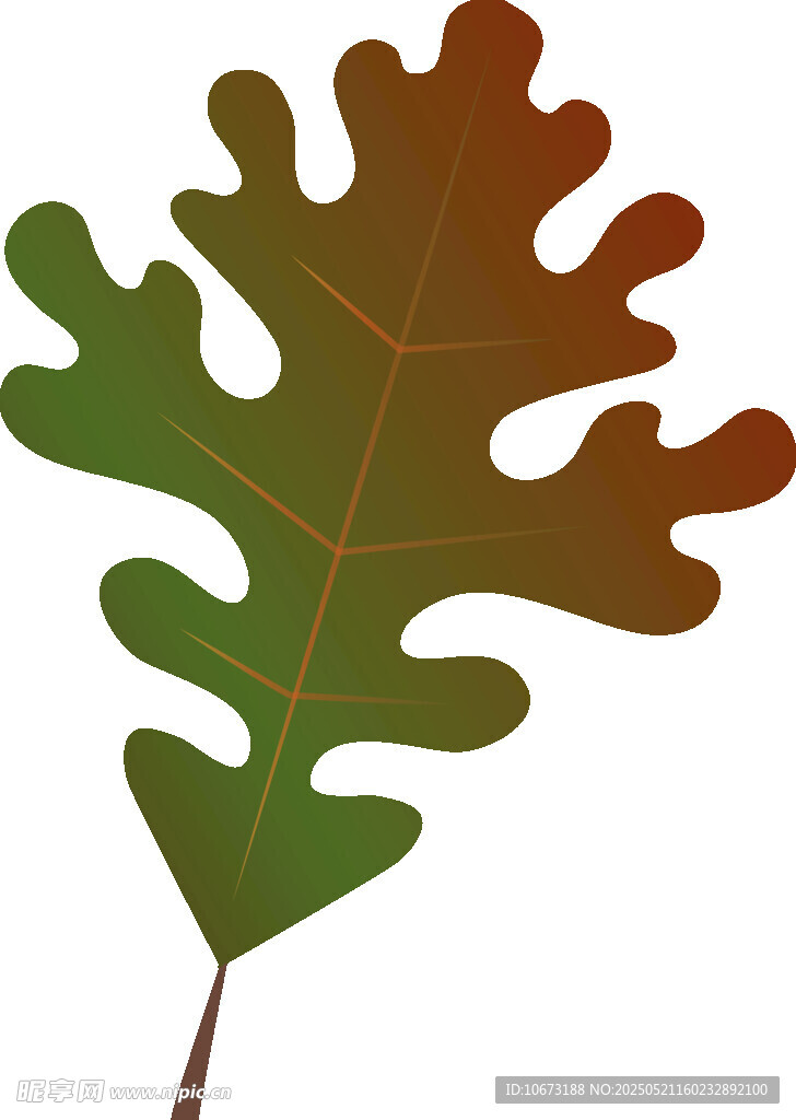 秋季橡樹葉插畫