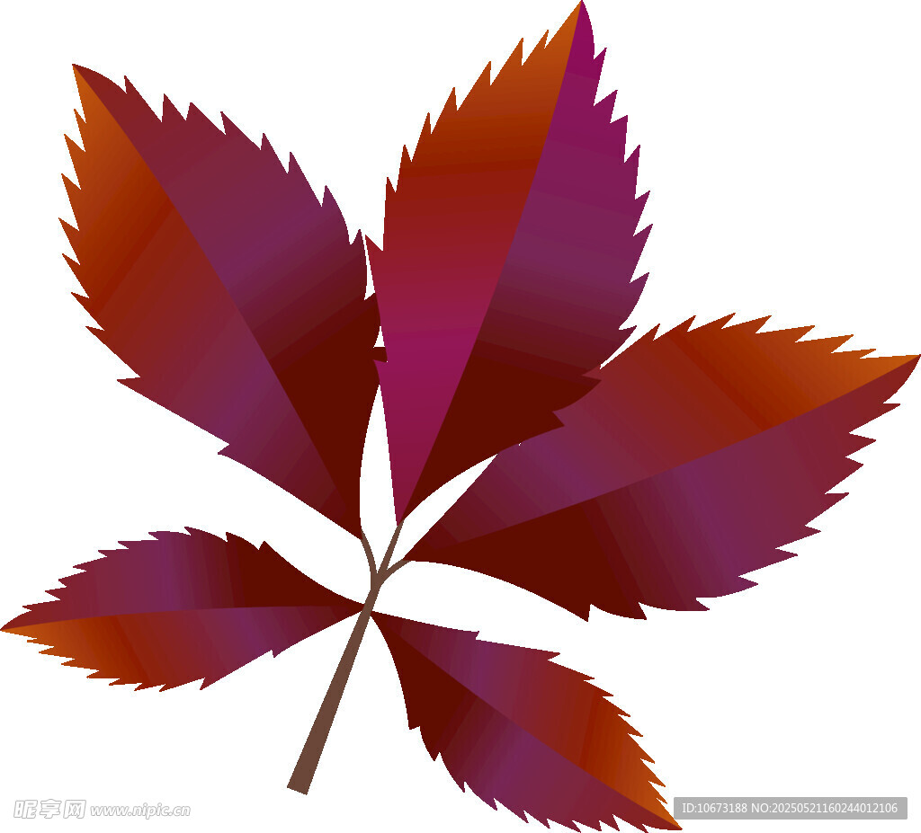 多彩楓葉插畫