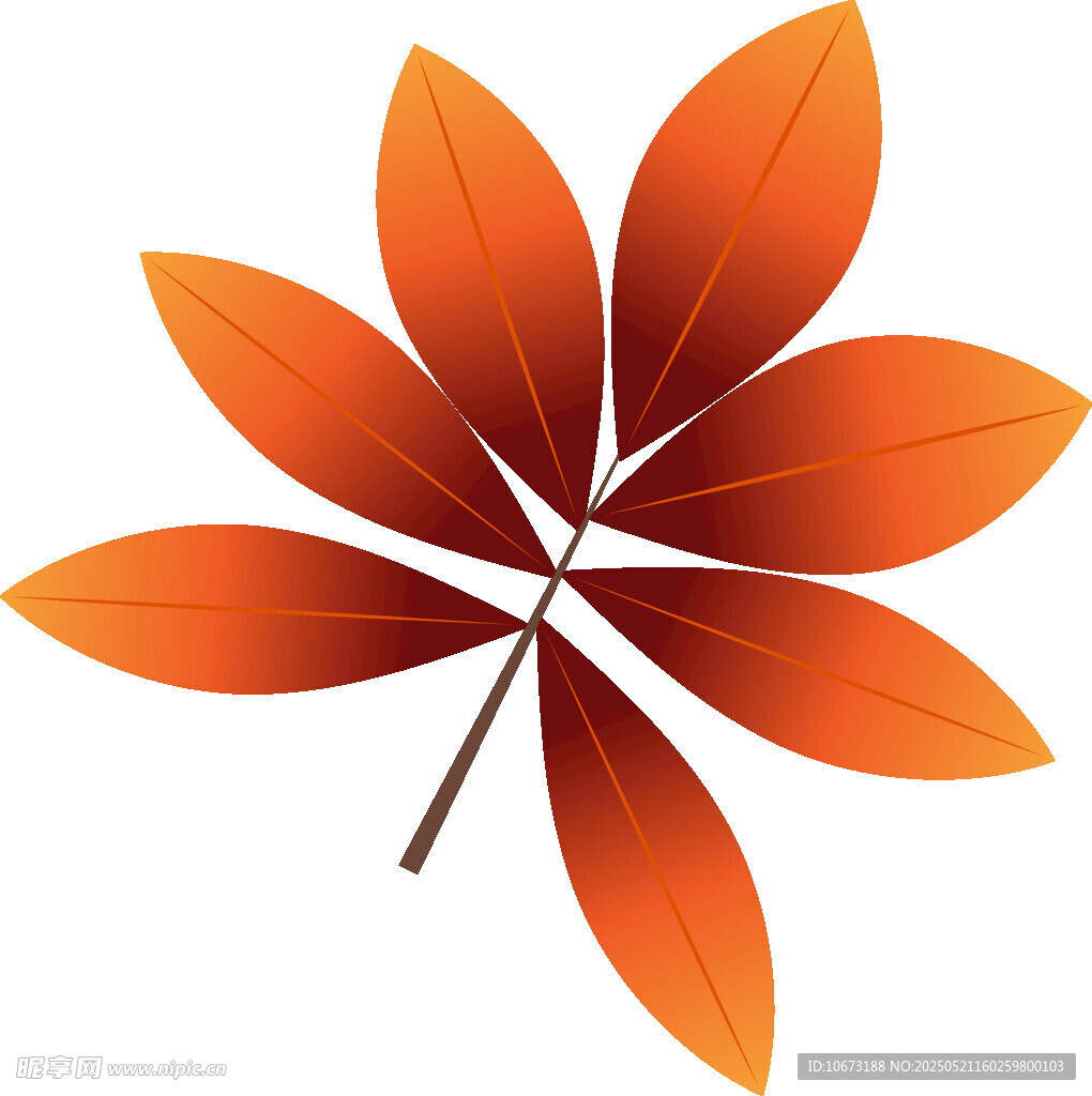 橙紅色七瓣葉片插畫