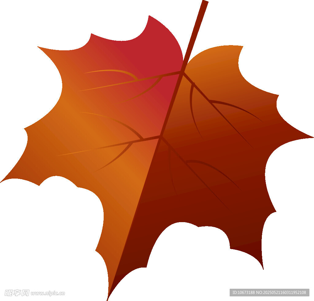 橙紅色楓葉插畫