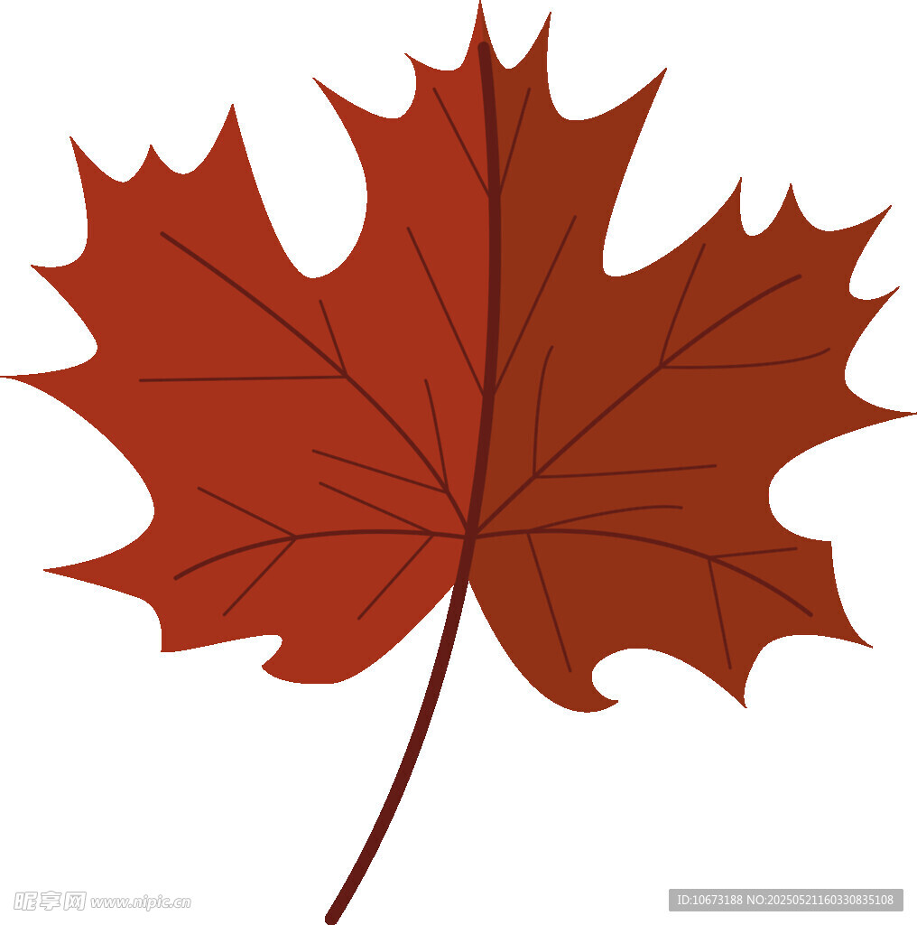 紅色楓葉插畫