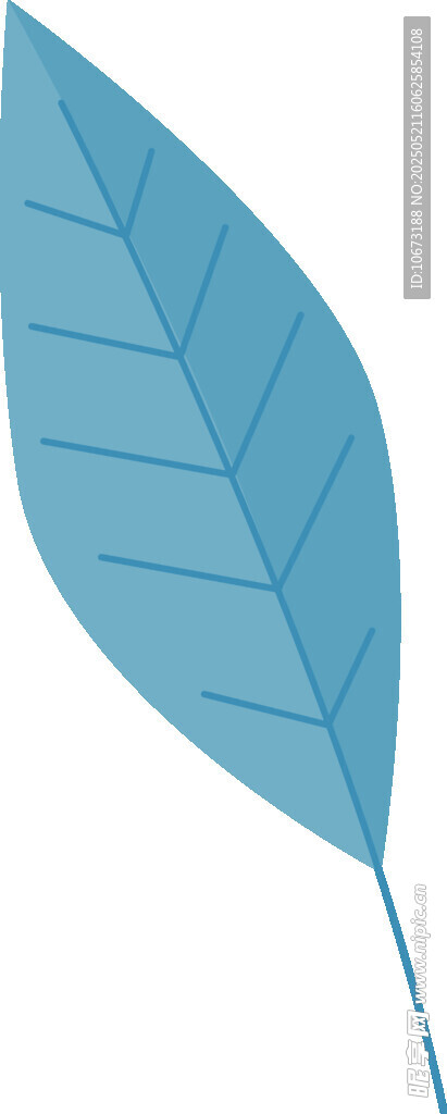 藍色單葉片插畫