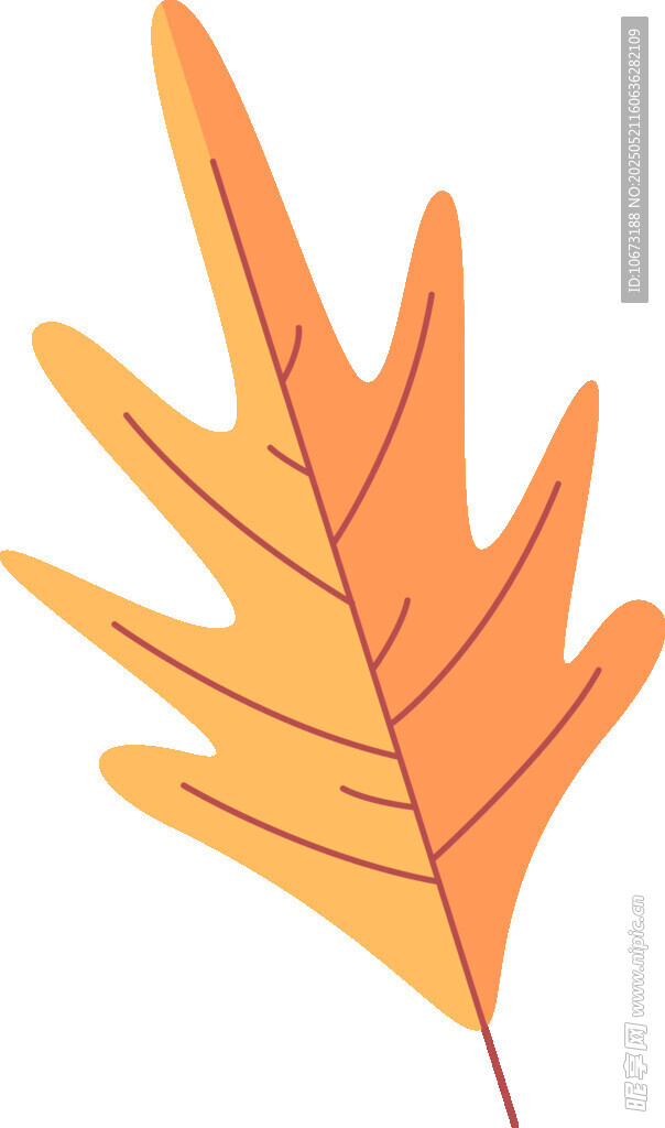 橙黃色楓葉插畫