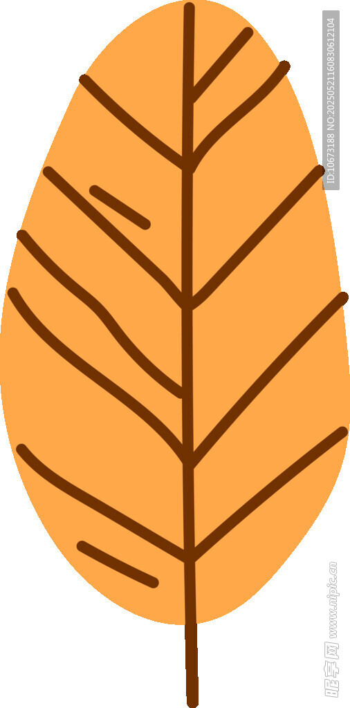 橙色葉脈樹葉插畫