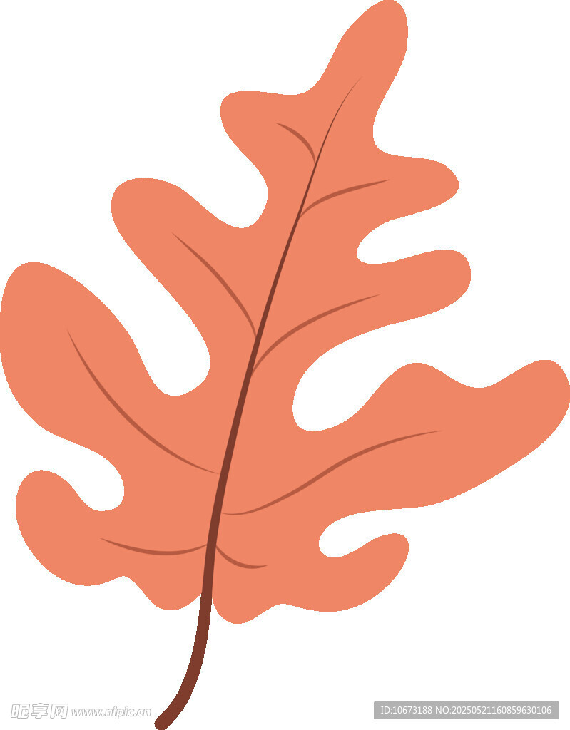 橙色橡樹葉插畫