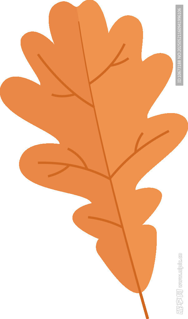 橙色橡樹葉插畫