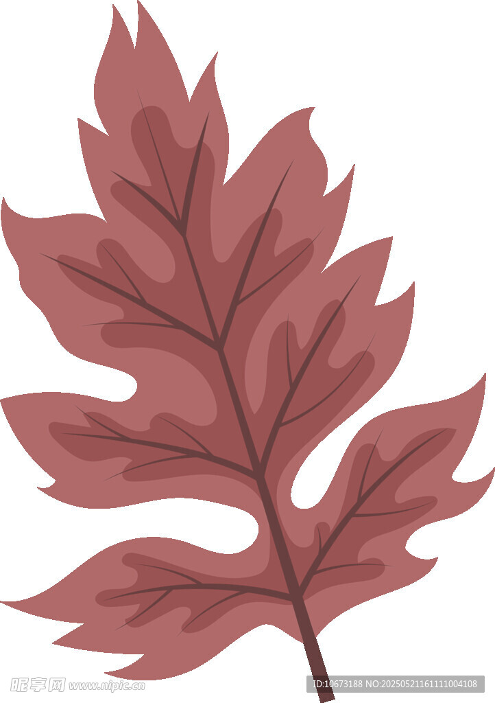 紅色羽狀葉片插畫