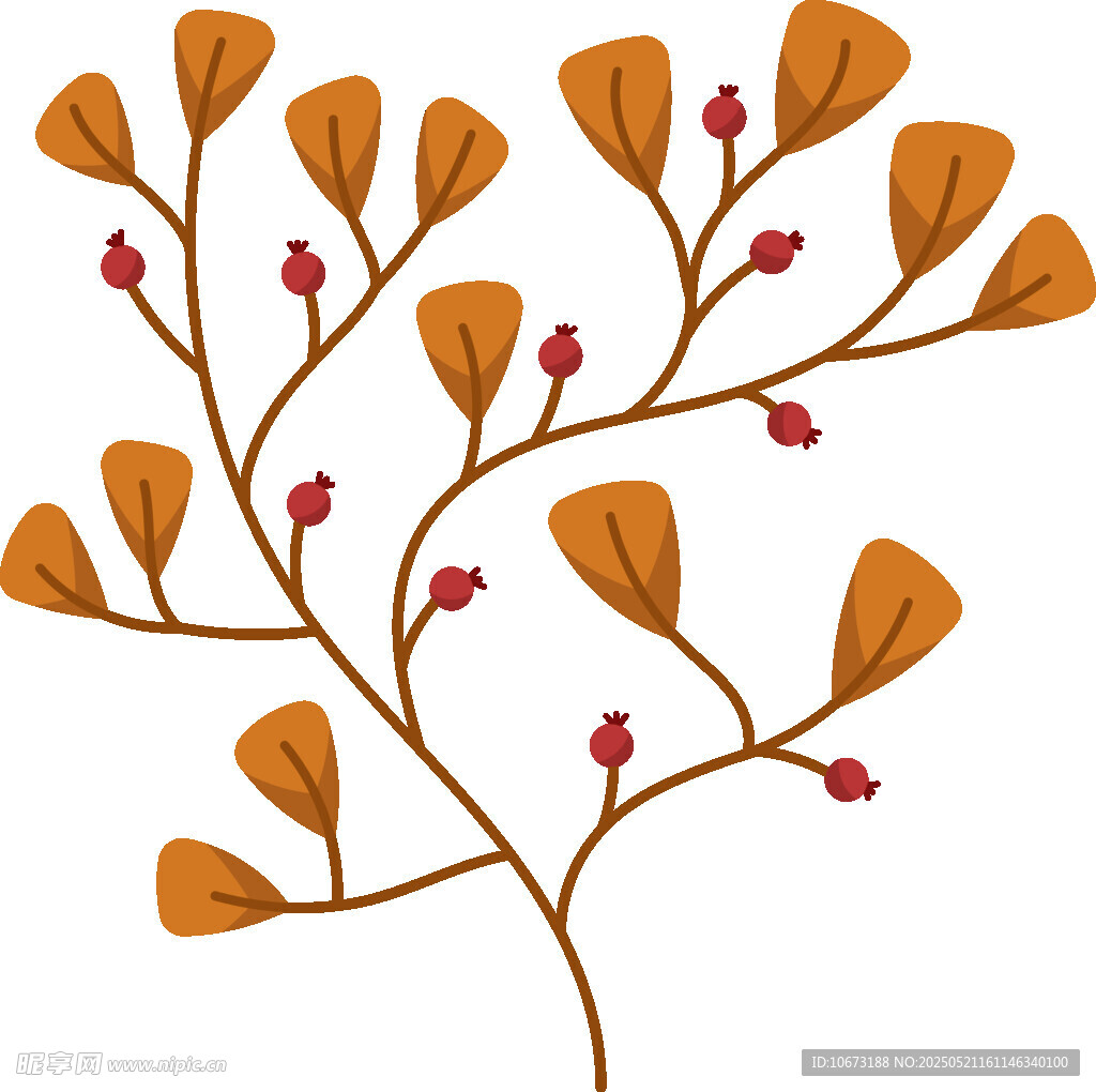 秋日橙葉紅果植物插畫